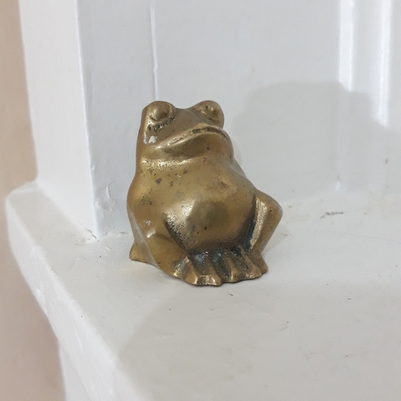 Snooty Amphibian - Picture 2 of 7